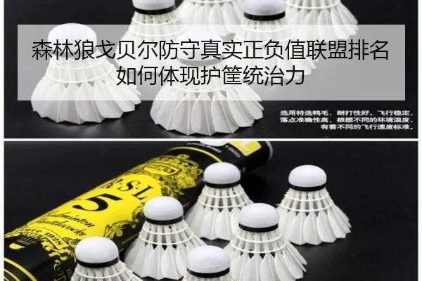 森林狼戈贝尔防守真实正负值联盟排名如何体现护筐统治力